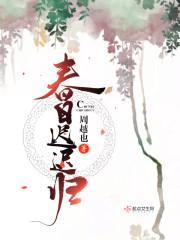 春日迟迟归封面
