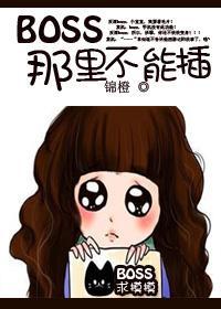 BOSS，那裏不能插封面