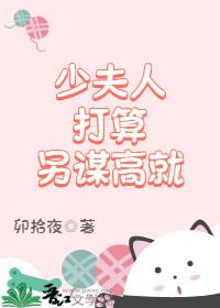 少夫人打算另谋高就封面
