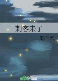 刺客来了封面