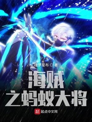 海贼之蚂蚁大将封面