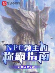 NPC领主的称霸指南封面