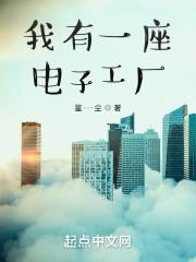 我有一座电子工厂封面