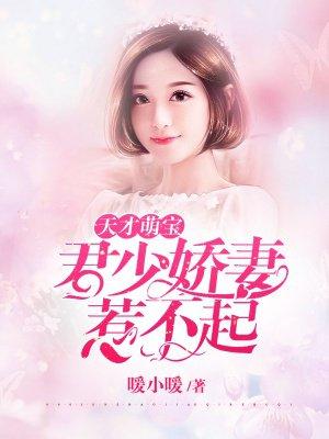 天才萌宝：君少娇妻惹不起封面