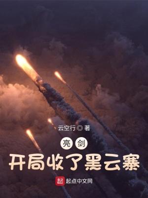 亮剑：开局收了黑云寨封面