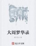 晚州梦华录封面