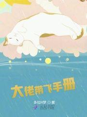 大佬带飞手册封面