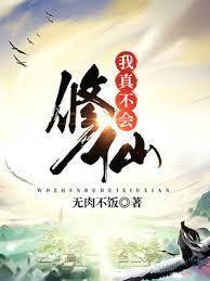 我真不会修仙封面