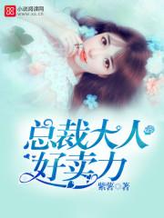 总裁大人好卖力封面