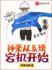神豪从系统宕机开始封面