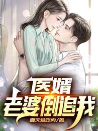 医婿：老婆倒追我封面