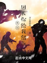 亮剑:团长你给我留点封面