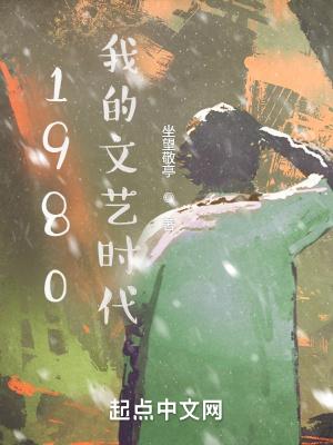 1980我的文艺时代封面
