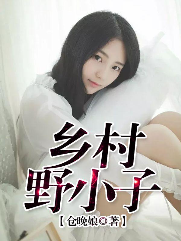 乡村野小子封面
