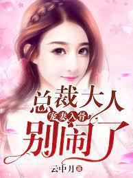宠妻入骨：总裁大人别闹了封面