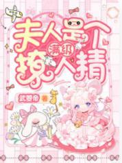 夫人是个满级撩人精封面
