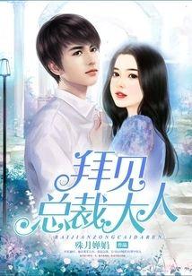 拜见总裁大人封面