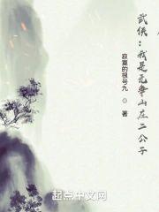 武侠：我是无争山庄二公子封面