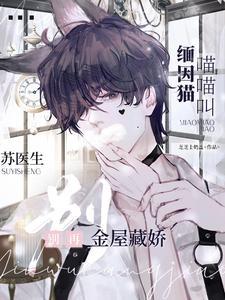 缅因猫喵喵叫,苏医生别再藏娇封面