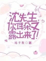 沈先生，你耳朵又露出来了！封面
