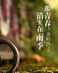 那青春，消失在雨季封面