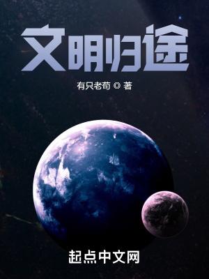 文明归途封面