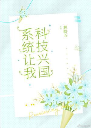 系统让我兴国封面