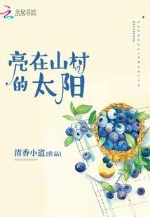亮在山村的太阳封面