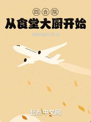 四合院从食堂大厨开始封面