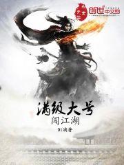 满级大号闯江湖封面