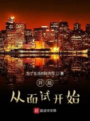 开局从面试开始封面