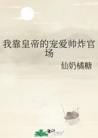 我靠皇帝的宠爱帅炸官场封面