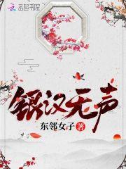 银汉无声封面