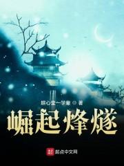 崛起烽燧封面
