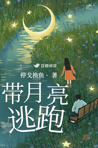 带月亮逃跑封面