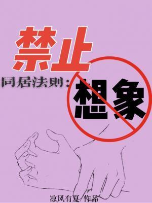 禁止想象封面