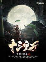 十三皇子封面