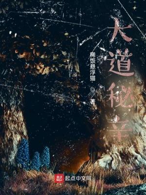 大道秘辛封面