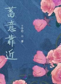 蓄意靠近封面