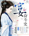 宫女奋斗史封面