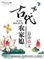 古代农家媳 H封面