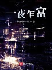 一夜乍富封面