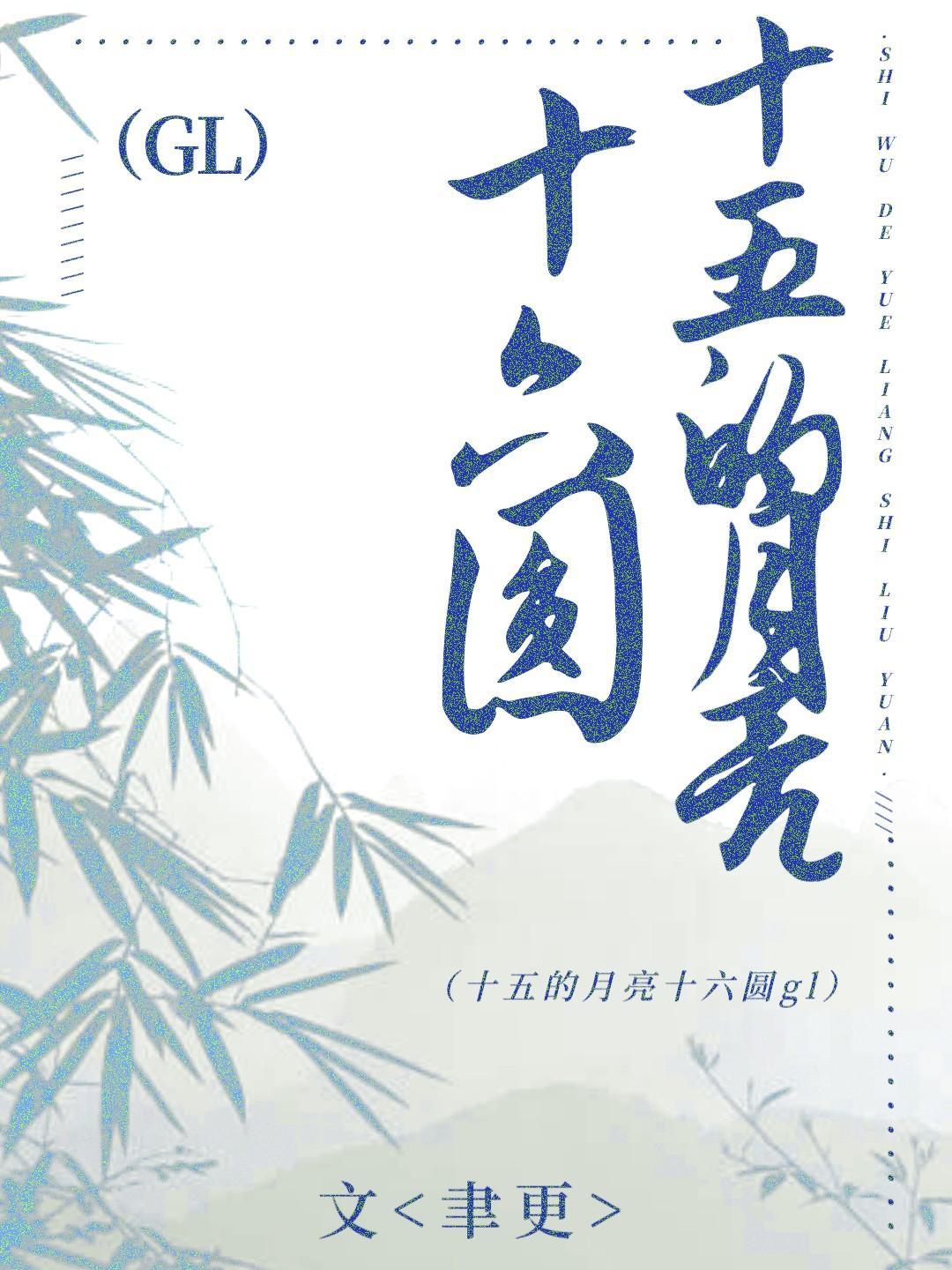 十五的月亮十六圆封面