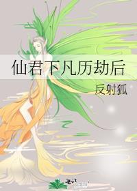 仙君下凡历劫后封面
