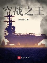 空战之王封面