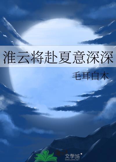淮云将赴夏意深深封面