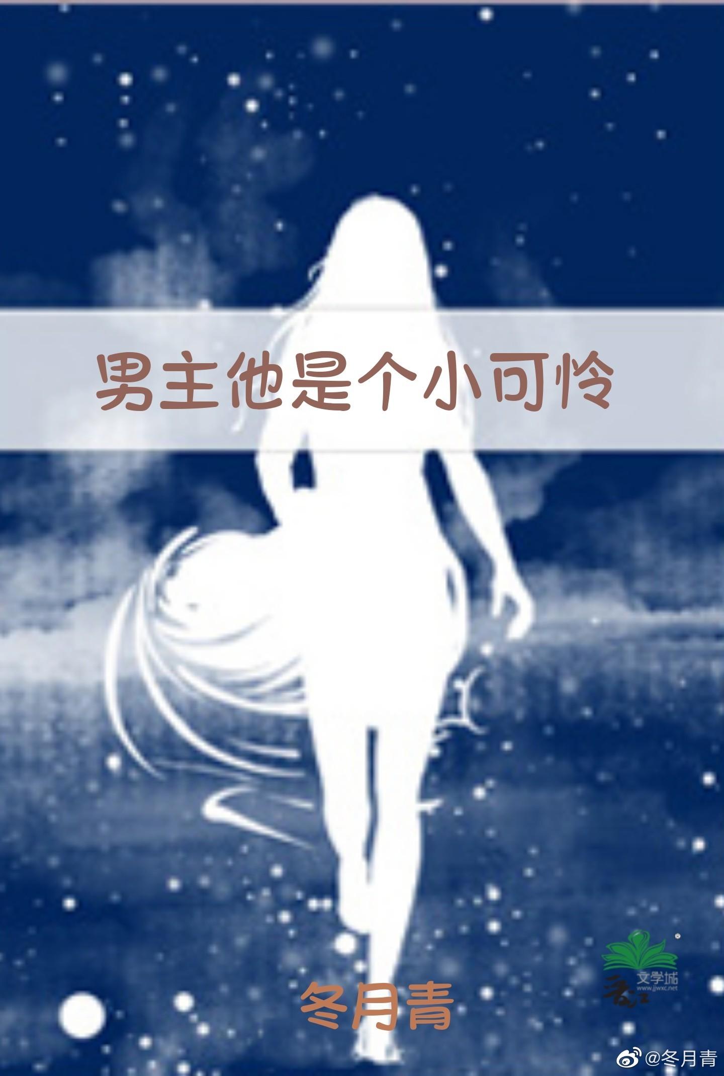 男主他是个小可怜封面