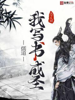 我写书成圣封面