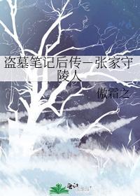 盗墓笔记后传-张家守陵人封面