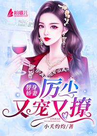 替身娇妻：厉少又宠又撩封面